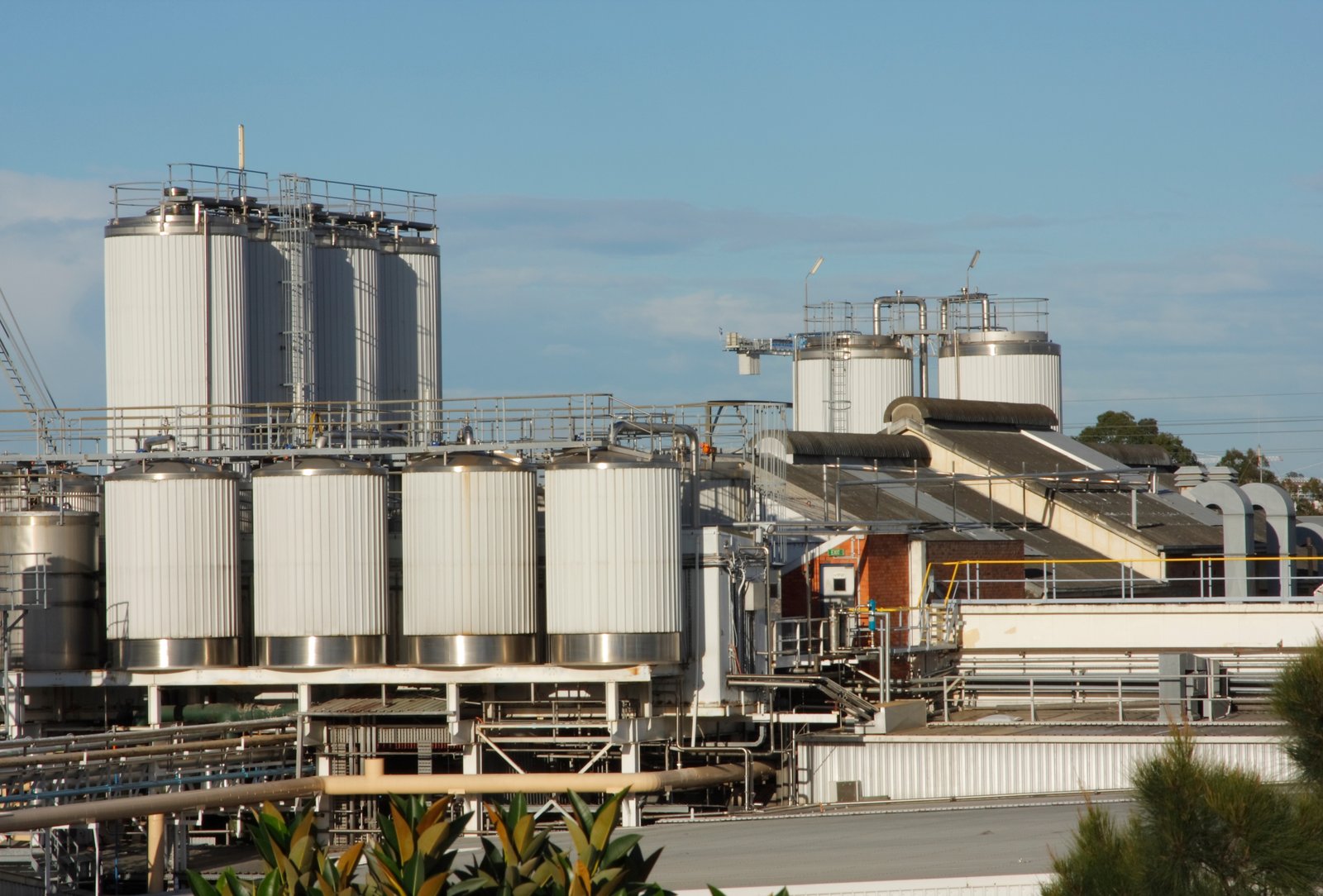 Beverages & Distillery